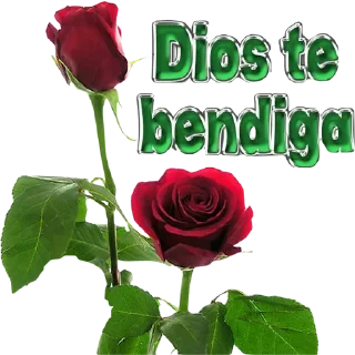 Sticker from Encuestas de mierda jpg. 😎👌