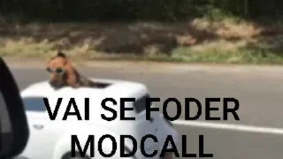🍀 emoji @JovemNarco's Vol.1 (Video) Telegram sticker 9 of 12