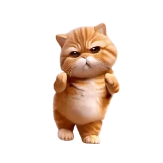 😊 emoji 動感舞星 - 強迫營業 (橘貓) @kal_pc Telegram sticker 10 of 24