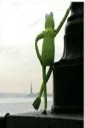☝ emoji Esqueleto(zuera) Telegram sticker 13 of 120
