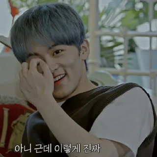▪️ emoji ㅤ⌦ MARK LEE @XXMAFIAWEB Telegram sticker 11 of 100