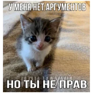 😜 emoji catmem (@emopix) Telegram sticker 19 of 30