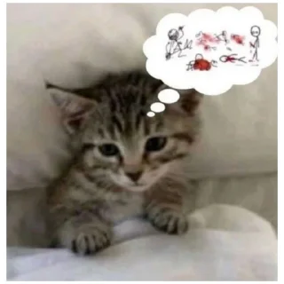 😌 emoji catmem (@emopix) Telegram sticker 17 of 30