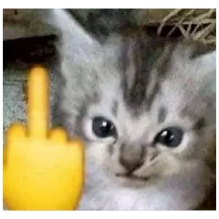😅 emoji catmem (@emopix) Telegram sticker 14 of 30