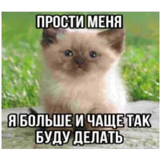 😊 emoji catmem (@emopix) Telegram sticker 6 of 30