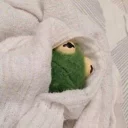 😴 emoji kermit Telegram sticker 16 of 62