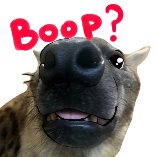 😽 emoji Yeens Telegram sticker 7 of 11
