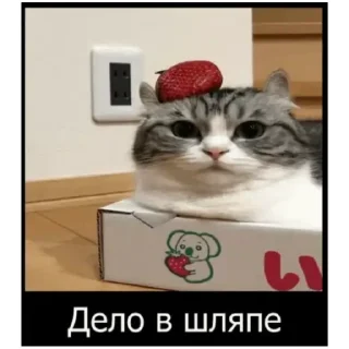😜 emoji Комару (@emopix) Telegram sticker 14 of 22