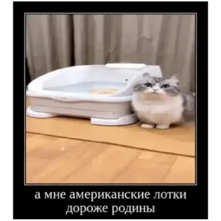😁 emoji Комару (@emopix) Telegram sticker 7 of 22