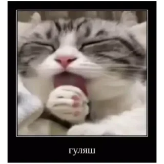 😛 emoji Комару (@emopix) Telegram sticker 18 of 22