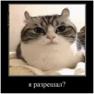 😍 emoji Комару (@emopix) Telegram sticker 9 of 22