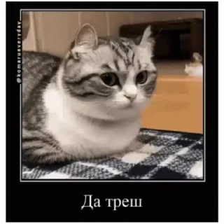 Sticker from Комару (@emopix)