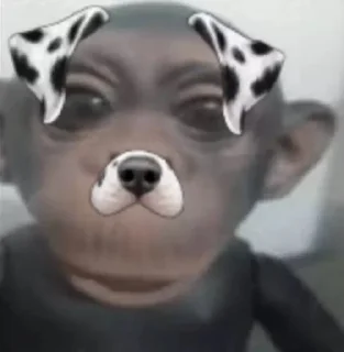 🐒 emoji dylanesco's collection Telegram sticker 21 of 74