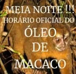 Sticker from ALERTA DE MACACO