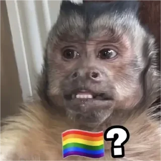 💚 emoji macaco Telegram sticker 5 of 24