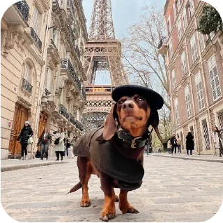 🗼 emoji Salchichas V1 Telegram sticker 10 of 26