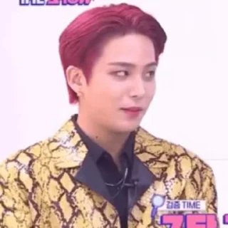 🦜 emoji Jongho by @aratickers Telegram sticker 13 of 26