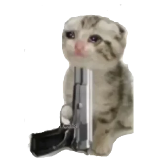 😭 emoji Dei Telegram sticker 16 of 22