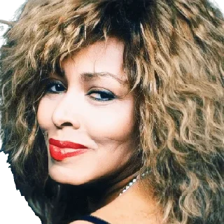 🙂 emoji Tina Turner Telegram sticker 5 of 9