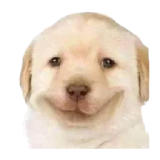 🙂 emoji Ugly stuff I use Telegram sticker 12 of 18
