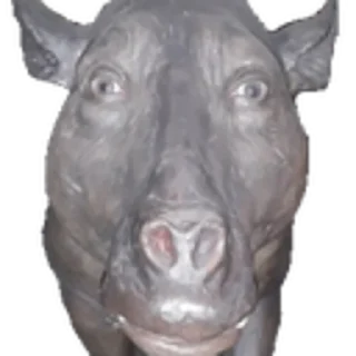 🙁 emoji raw primal meat up Telegram sticker 3 of 43