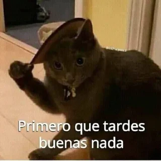 Sticker from Meme español