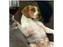 🍷 emoji Memes de animais Telegram sticker 22 of 87