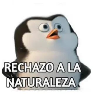 Sticker from Madagascar