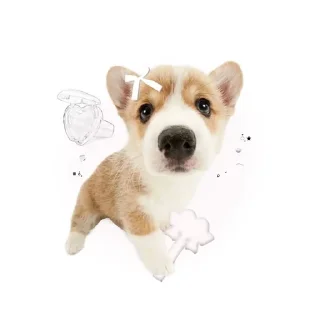 Sticker from animais — @bruxacarmesim