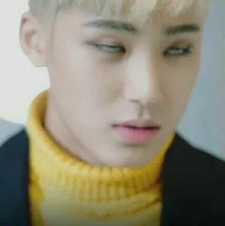🤡 emoji 𝕸𝖆𝖓𝖚 as Mingyu de bolso. Telegram sticker 11 of 22