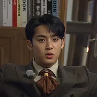 Sticker from Ragas as mingyu @ragassaputra
