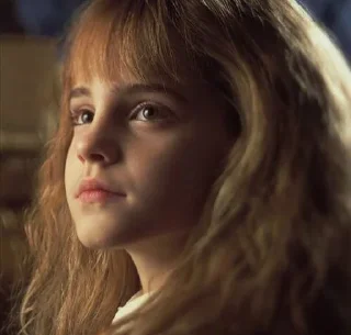 ✨ emoji Hermione ~ @PotterheadOncer Telegram sticker 23 of 27
