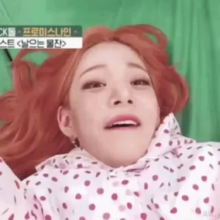 🦜 emoji Chaeyoung by @aratickers Telegram sticker 10 of 45
