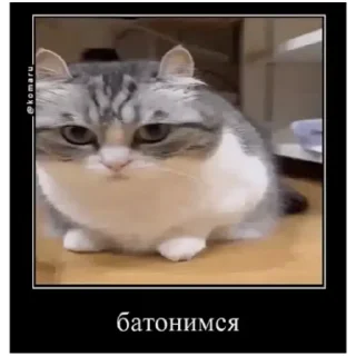 Sticker from Комару (@emopix)
