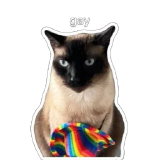 Hiro Silly Cat sticker 4
