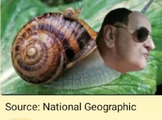 🐌 emoji ETB Stickers 1 Telegram sticker 18 of 31