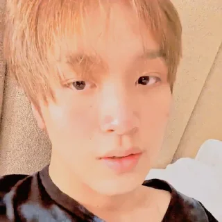 Sticker from ⟳ 𝐋ee 𝐇aechan @SUCKINGDlCK