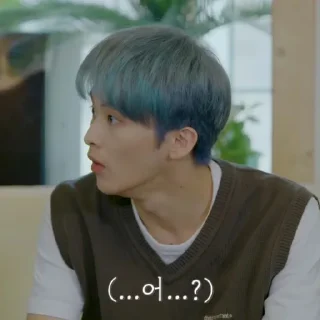 🦚 emoji Minhyung by @contolmu Telegram sticker 15 of 34