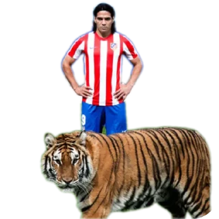 🎫 emoji Tigre Telegram sticker 9 of 109
