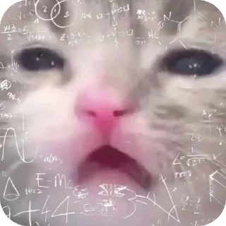 🔳 emoji яɛԀɮuʟʟ ✨ 2 Telegram sticker 23 of 120