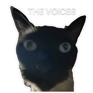 🔊 emoji Hiro Silly Cat Telegram sticker 21 of 30