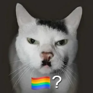 🏳️‍🌈 emoji el pablo Telegram sticker 16 of 46