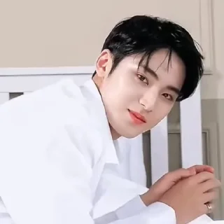 🦜 emoji Mingyu 3.0 by @aratickers Telegram sticker 11 of 43