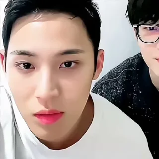 Sticker from Mingyu 3.0 by @aratickers