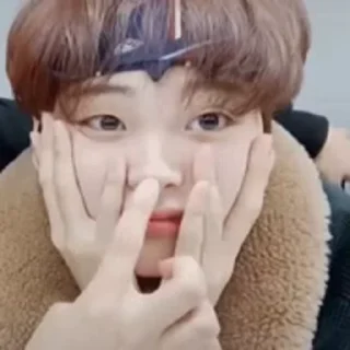 🦜 emoji Hyeongjun by @aratickers Telegram sticker 23 of 44