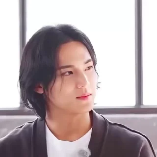 🦜 emoji Mingyu 3.0 by @aratickers Telegram sticker 14 of 43
