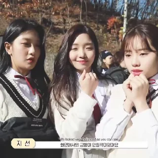 🦜 emoji Fromis_9 by @aratickers & @fromisgifs Telegram sticker 18 of 47