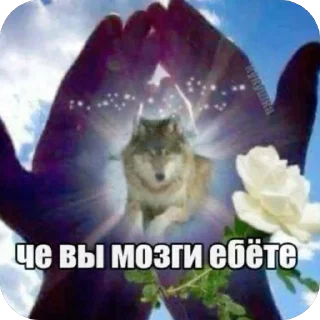 🫥 emoji Kukushka Telegram sticker 18 of 74