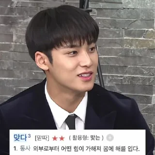 💷 emoji Mingyu @stikersvt Telegram sticker 19 of 20