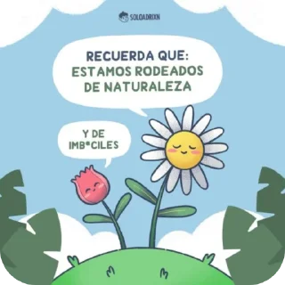 🌸 emoji Esquizofrenia 😵‍💫 (Mapache 🦝) Telegram sticker 18 of 61